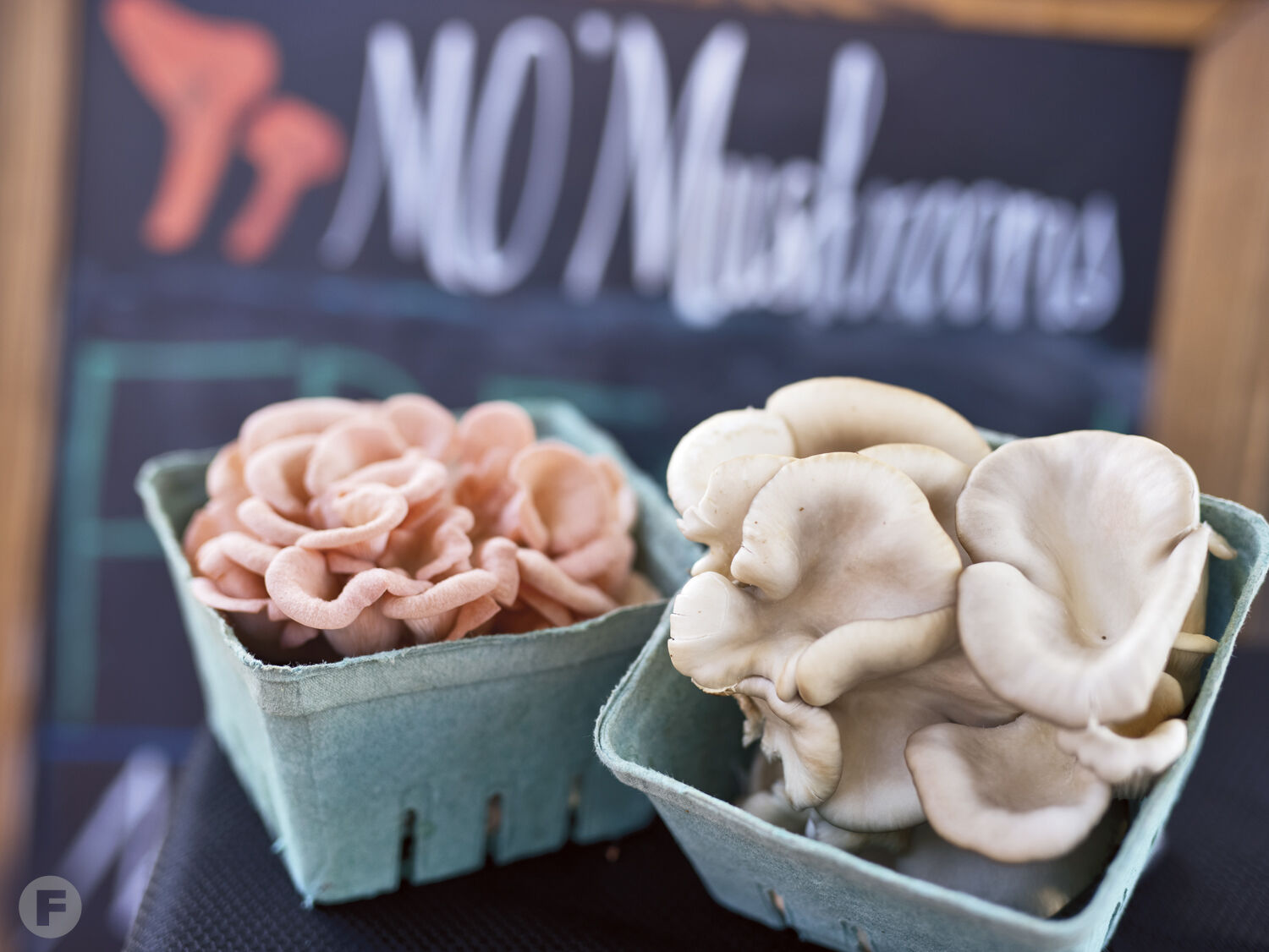 MO' Mushrooms